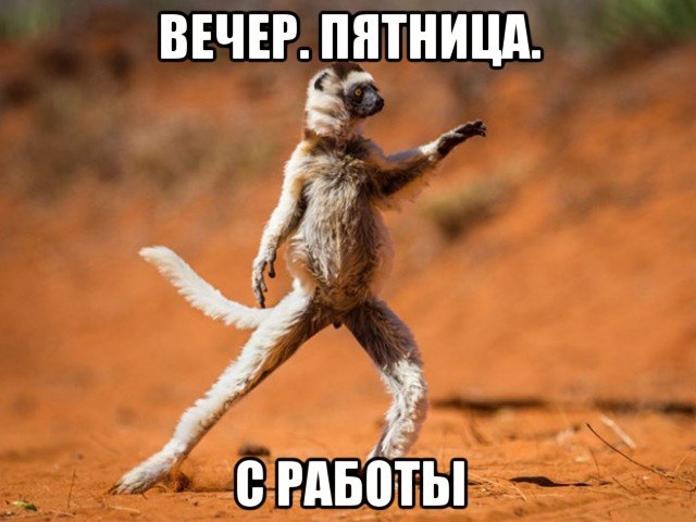 40 улыбательных картинок