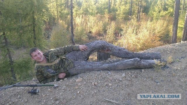 35 фото из серии "Показалось"