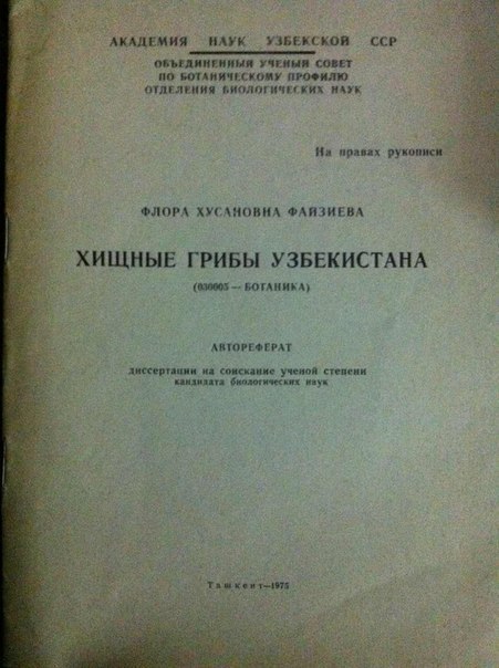 Фотоподборка на пятницу.