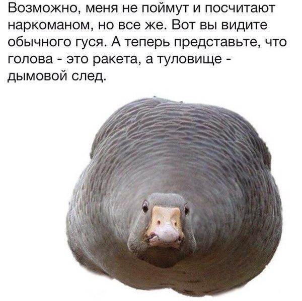 Случайные картинки