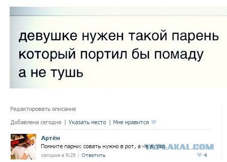 Комментарии, подписи, текстовые приколы