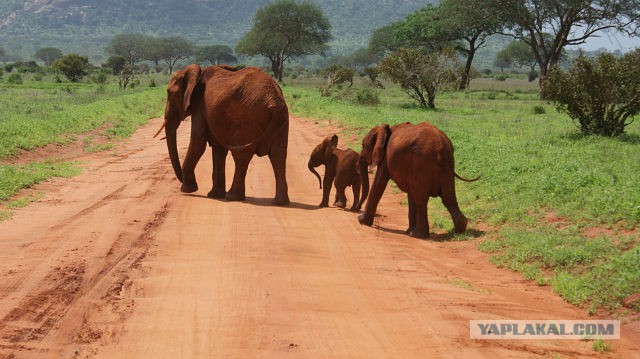Всем нашим встречам,  увы, разлуки суждены...