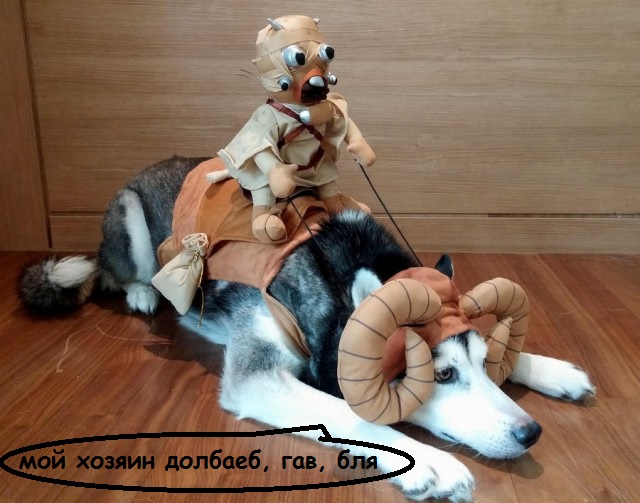 Интересные и веселые картинки