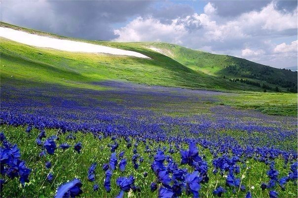 Картинки для отдыха глаз