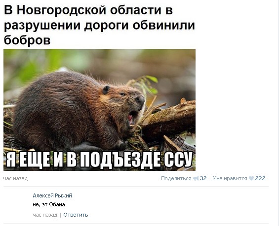 Ужасы и приколы из соцсетей 18+