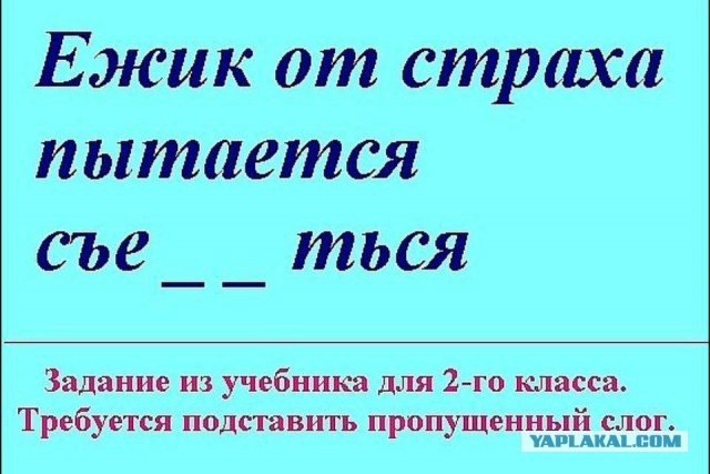 Смешные комментарии из социальных сетей 05.08.2016