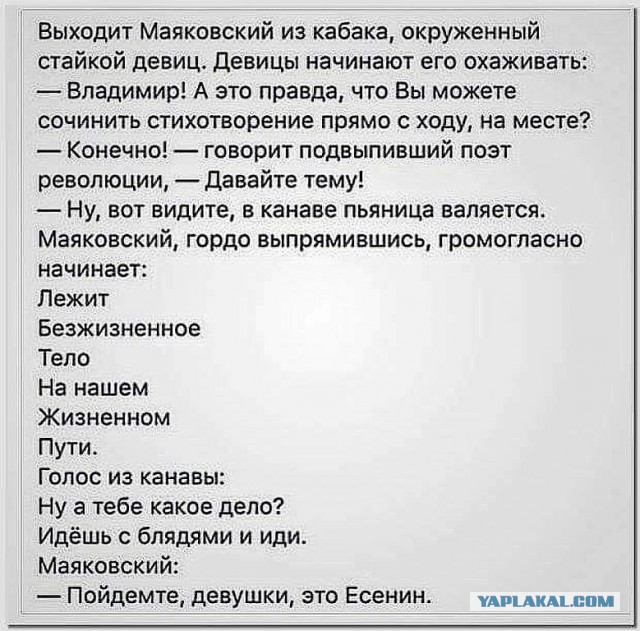 Подборка веселых картинок с тырнета