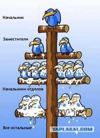 Как я запилил туалет на даче.