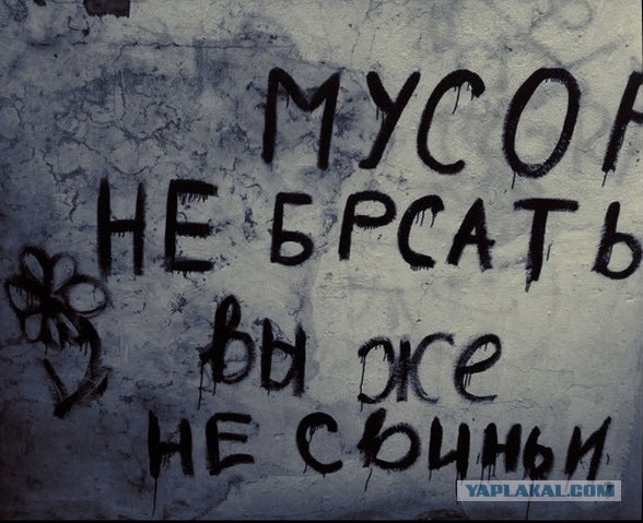 Любвеобильные соседи