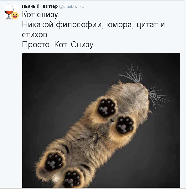 Смешные комментарии из социальных сетей 03.11.2016