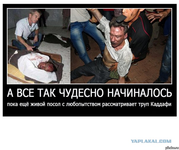 Реакция "Братского" народа на убийство посла