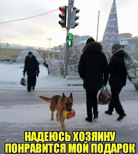 Фото из этих ваших интернетов.