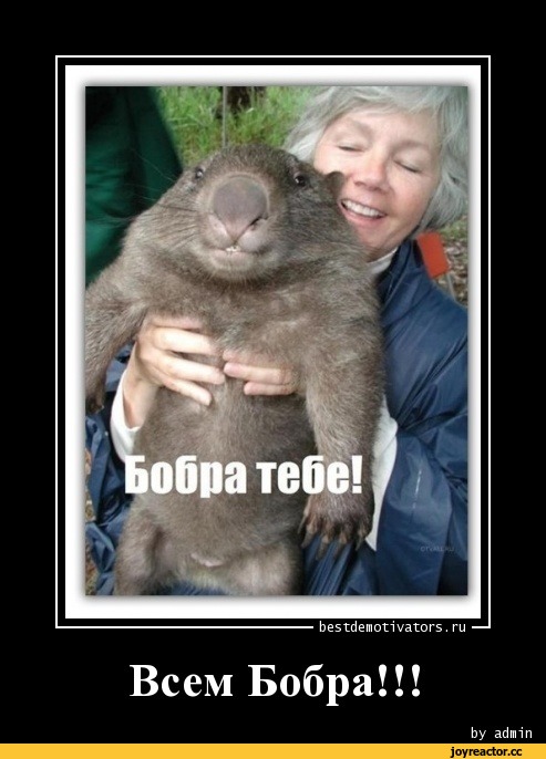 Девушка ищет олигарха