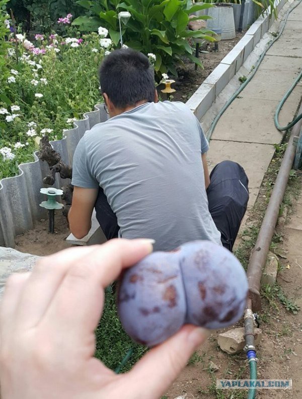 33 фотки отпадныхъ на вторник!