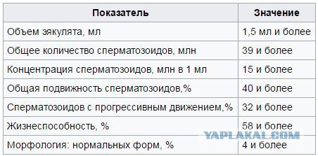 США сконцентрируют 150 тысяч для вторжения в Сирию