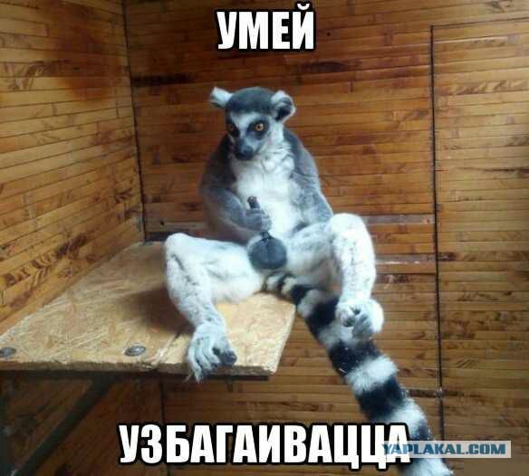 Накипело б**ть, или про секс