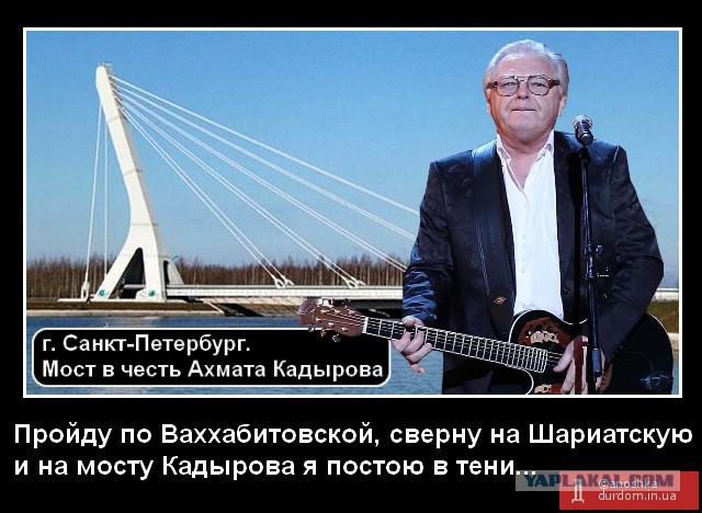 На мосту Ахмата Кадырова в Петербурге появился профиль Ахматовой