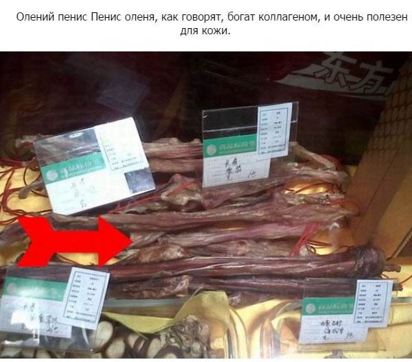 Где едят пенисы