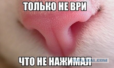 Чудики из социальных сетей