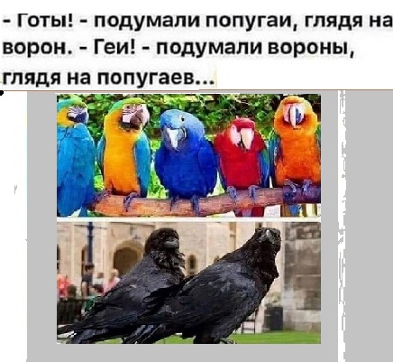 Картинки с надписями, соц-сети и анекдоты