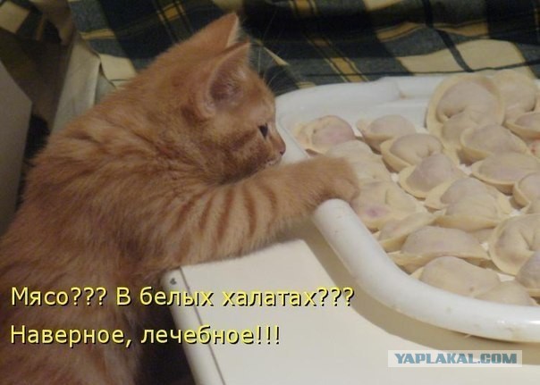 Весёлые и/или жизненные картинки