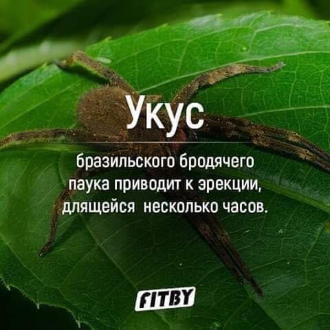 Смешные комментарии из социальных сетей 08.05.2019
