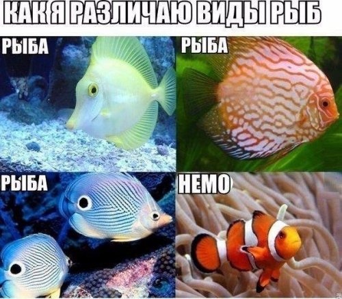 Немного картинок с надписями и без - 30