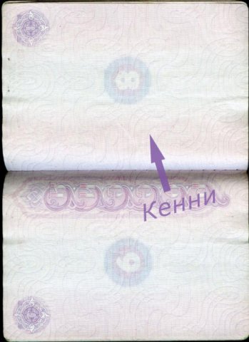 В океане поймали Кенни