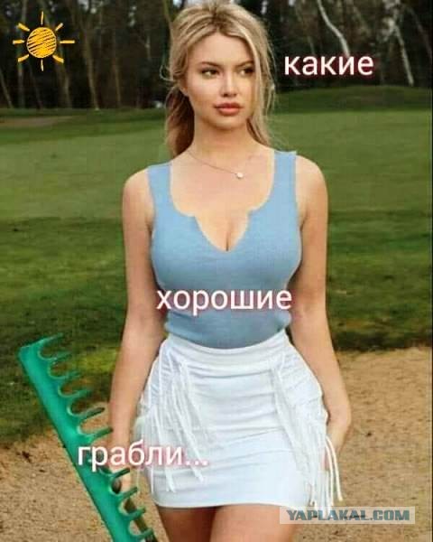 Картинки разные на сегодня