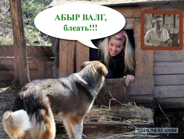 Фотожаба: Собака с Девушкой