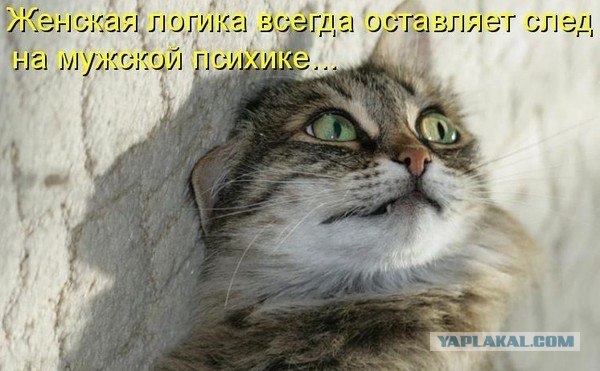 "Стрельба" из газового баллончика