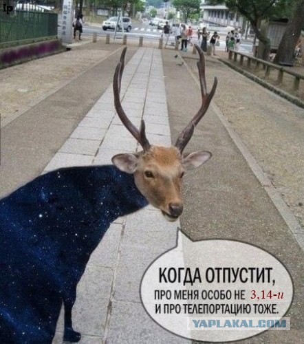 Параллельные миры ближе, чем нам казалось