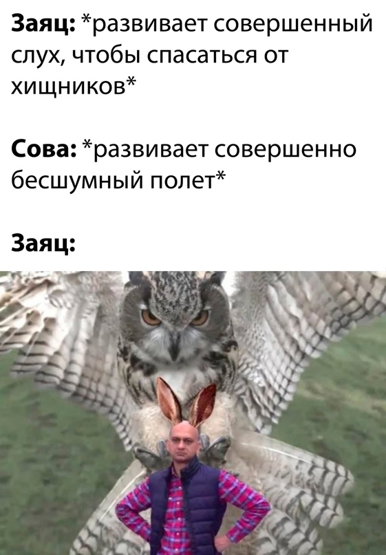 Весёлый полтишок 4.03