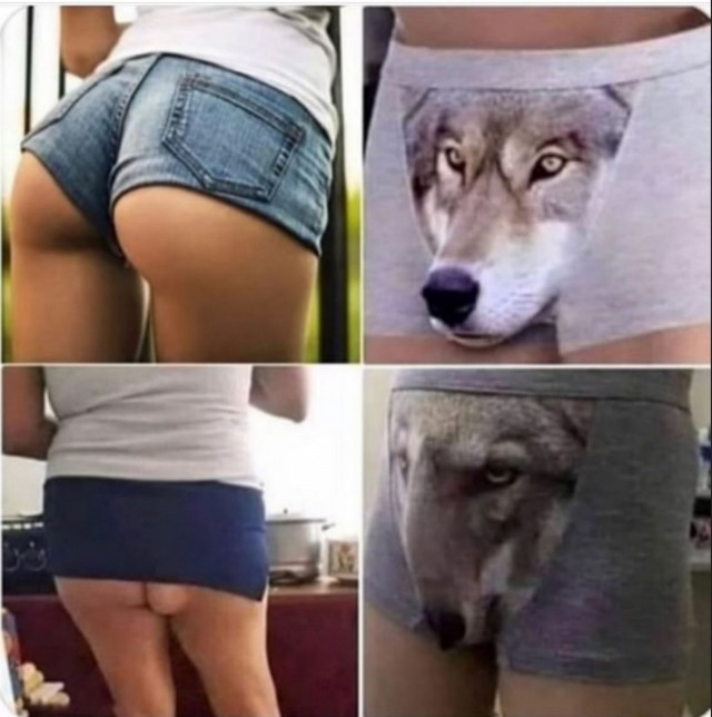 Насохранял