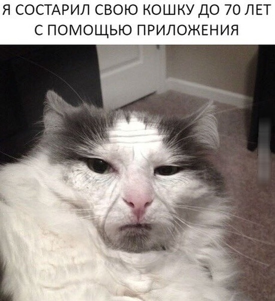 Картинки и мемы для настроения 29.06.2021