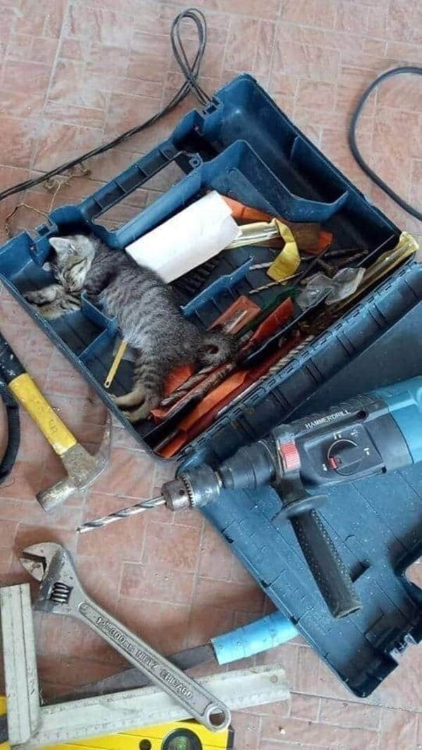 Картинки и мемы для настроения 05.08.2021