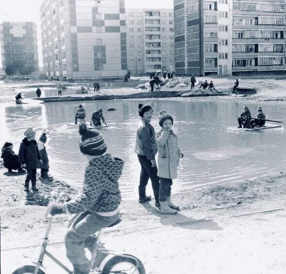 Лев в пустыне