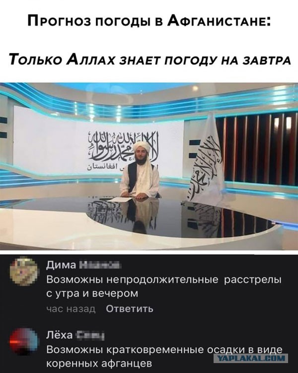 Картиног подвезли