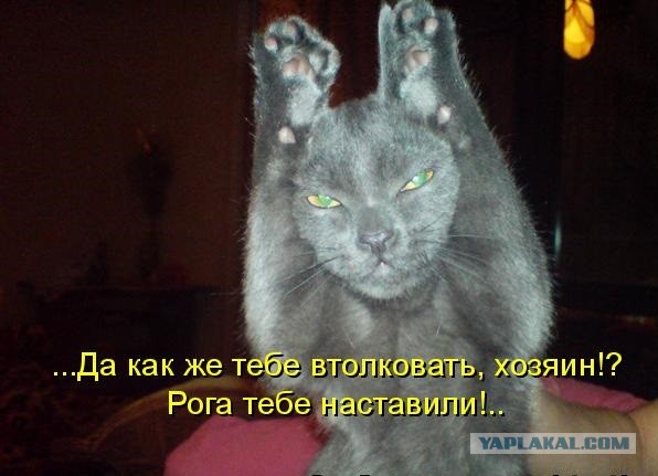 А я пью пиво