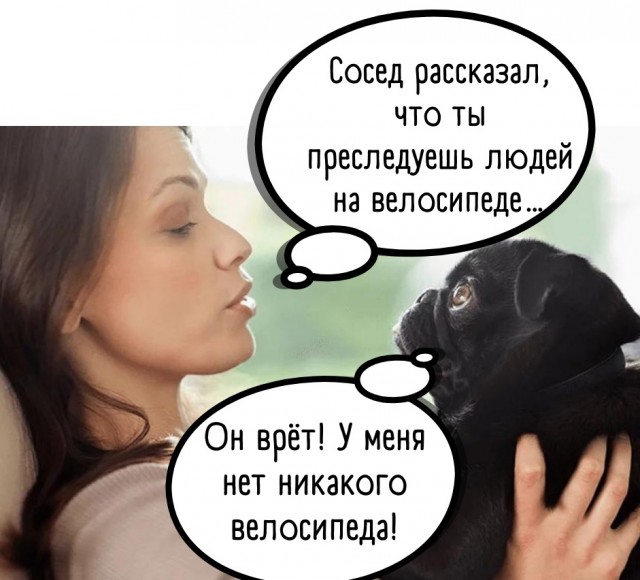 Картинки и мемы для настроения - 21