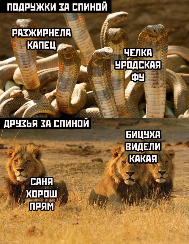 Картинки и мемы, всем хороших выходных