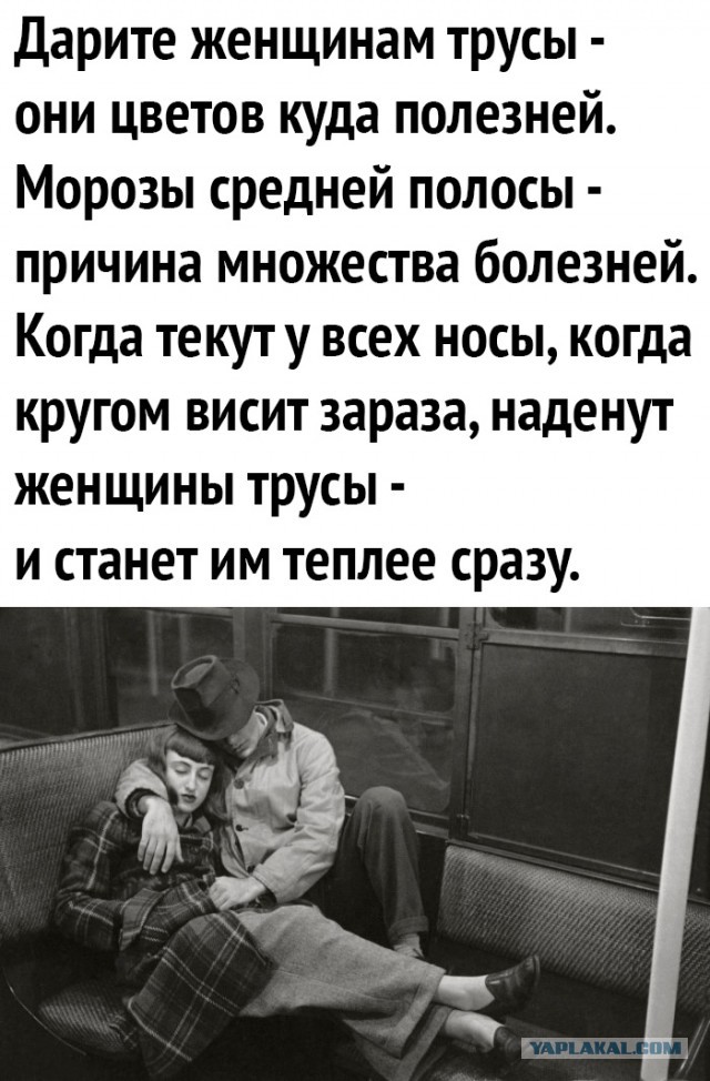 Так себе картинки 03.11.22
