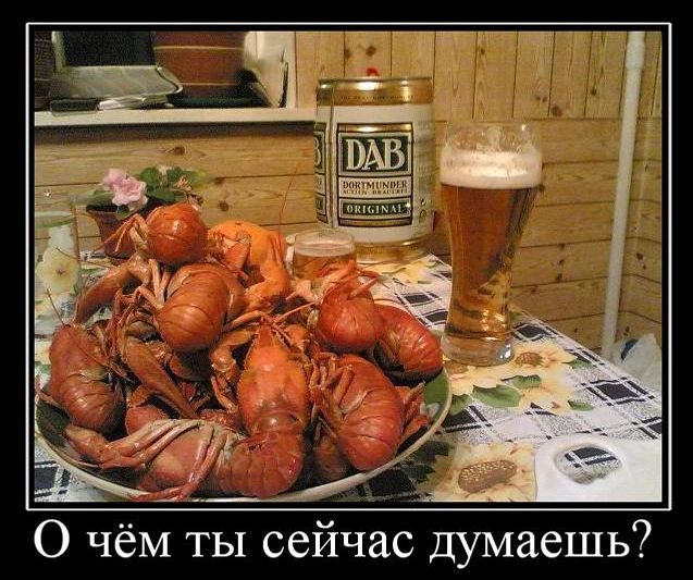 Прикольные и просто красивые картинки 09.12.2022