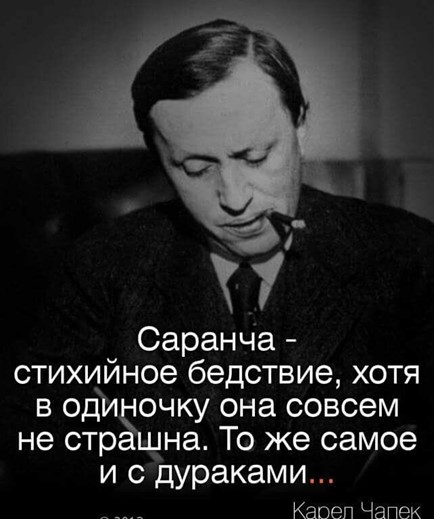 Глупцами не становятся, ими… рождаются