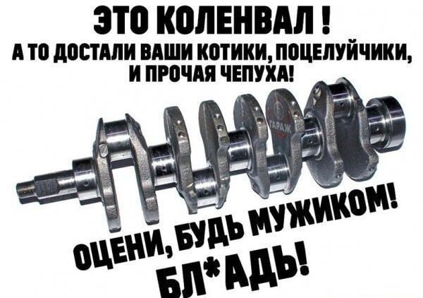 Немного картинок для настроения - 161