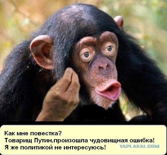 Закон об электронных повестках и едином реестре военнообязанных подписан Путиным и вступил в силу