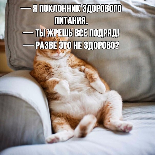 Вторая подборка самых баянистых баянов! Ностальгируем...