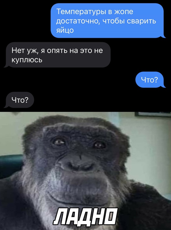 Набрел на склад баянов. Налетай