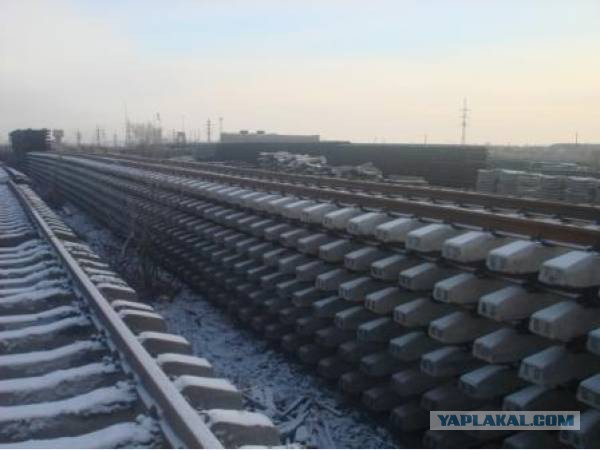 Протест против совка