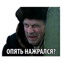 Ачинский депутат обматерил соседку, вызвавшую полицию из-за его громкой пьянки.